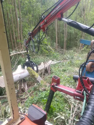 Se realizan labores de campo gondomar y alrededore