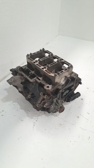 BLOQUE AUDI A6 Allroad C6 4FH 55290559