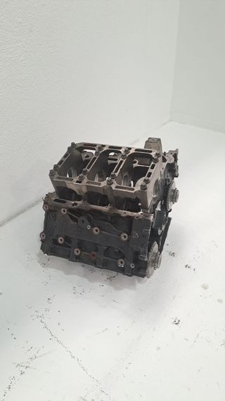 BLOQUE AUDI A6 Allroad C6 4FH 55290559