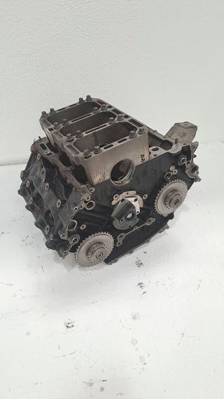 BLOQUE AUDI A6 Allroad C6 4FH 55290559