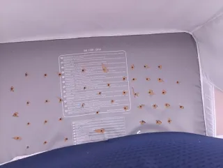 Mini cuna Jane espacial