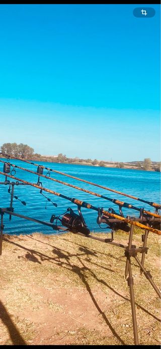 Cañas de Carpfishing