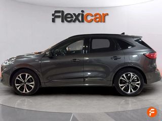 Ford Kuga ST-Line 1.5T EcoBoost 110kW (150CV)