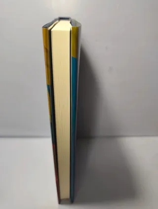 El mapa de los afectos: Premio Nadal de Novela ...