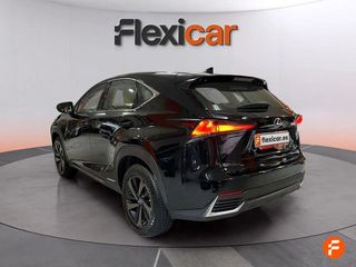 Lexus NX 2.5 300h F Sport Panorámico