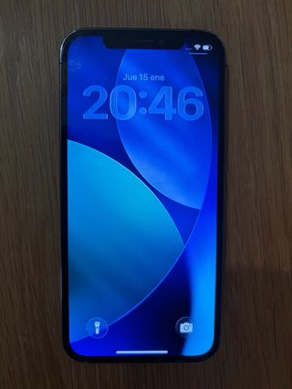 iPhone 12 Pro 256GB Gris espacial