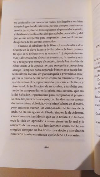 El verano de Cervantes: Una escritura desatada