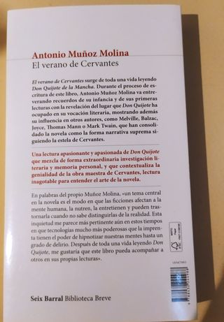 El verano de Cervantes: Una escritura desatada