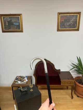 Bastone da passeggio manico 800