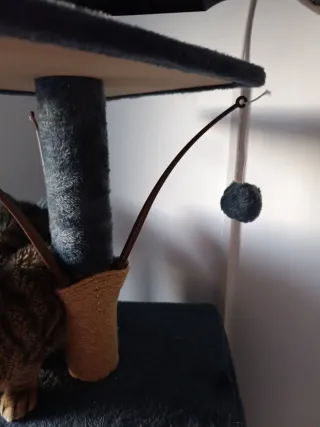 Rascador para gatos nuevo