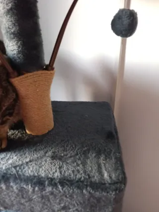 Rascador para gatos nuevo