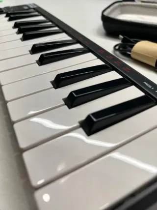 Teclado MIDI Akai LPK25 + funda, cable Como Nuevos