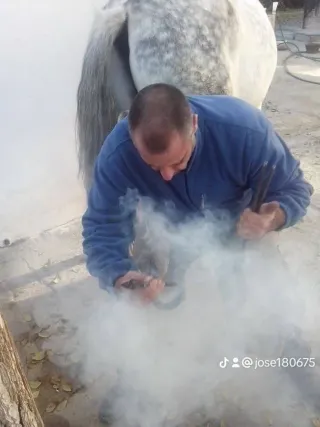 Herrador de caballos Castilla la Mancha y Madrid.