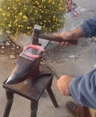 Herrador de caballos Castilla la Mancha y Madrid.