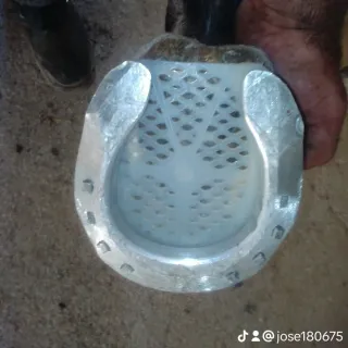 Herrador de caballos Castilla la Mancha y Madrid.