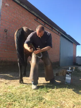 Herrador de caballos Castilla la Mancha y Madrid.
