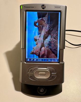 Palm Tungsten T3 - Vintage Collezione