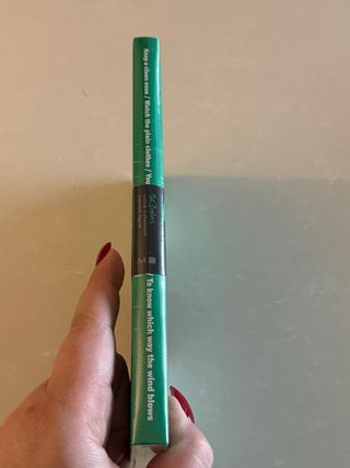 Moleskine Bob Dylan a righe