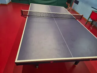 Mesa Ping Pong XIOM PRO 9 ITTF