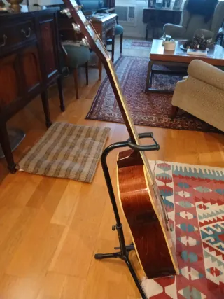 Guitarra Acústica Washburn Casi Nueva