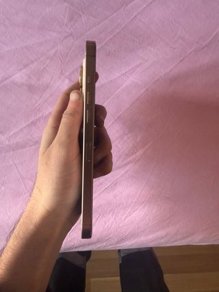 iPhone 16 Pro Max 256GB Dorado/Plateado