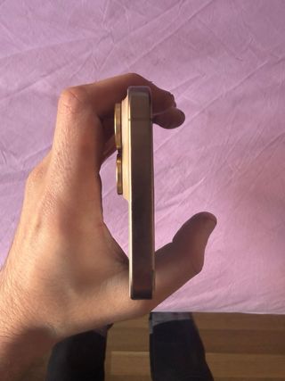 iPhone 16 Pro Max 256GB Dorado/Plateado