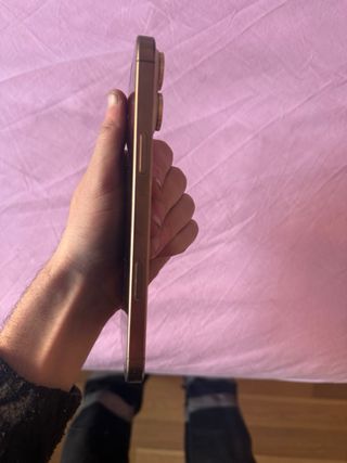 iPhone 16 Pro Max 256GB Dorado/Plateado