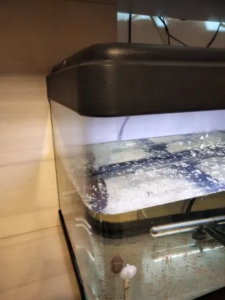 Acuario panorámico 136L con calentador