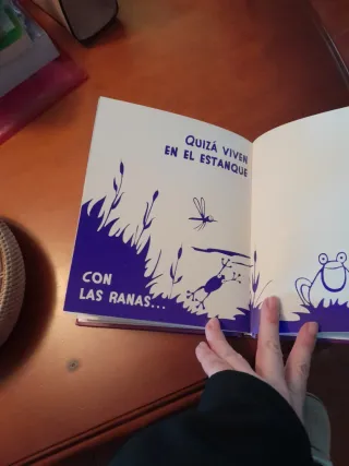 ¿Dónde viven las hadas?: Cuento para leer a osc...
