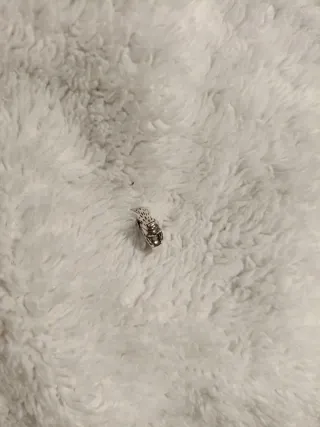 Colgante Perezoso Plata