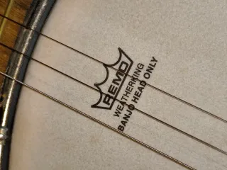 Banjo Ktone con funda