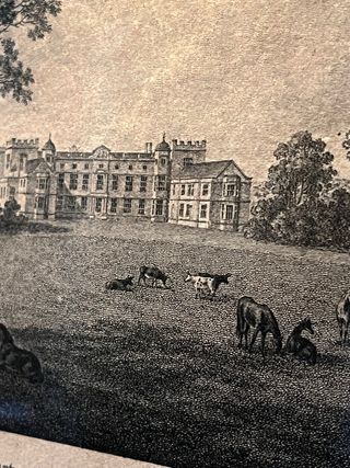 Serigrafia incorniciata con vetro e legno