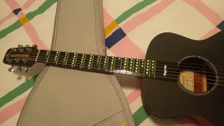 Guitarra Acústica Inteligente