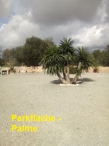 Finca Rustica Mallorca en venta.