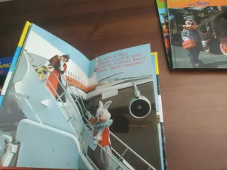 Lote Mickey y sus Amigos