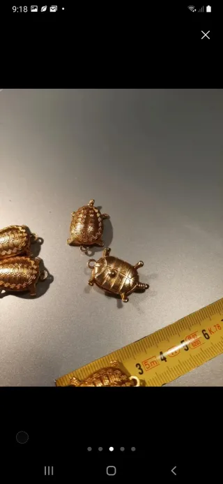 tortuga suerte china