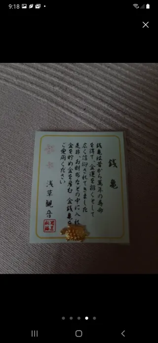 tortuga suerte china