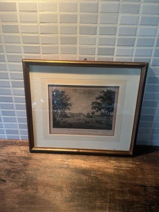 Serigrafia con cornice in legno e oro