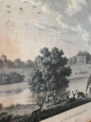 Serigrafia con cornice in legno e oro