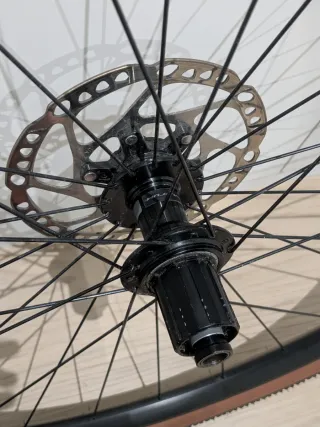 Ruedas Gravel Fulcrum RR 900, neumáticos y discos