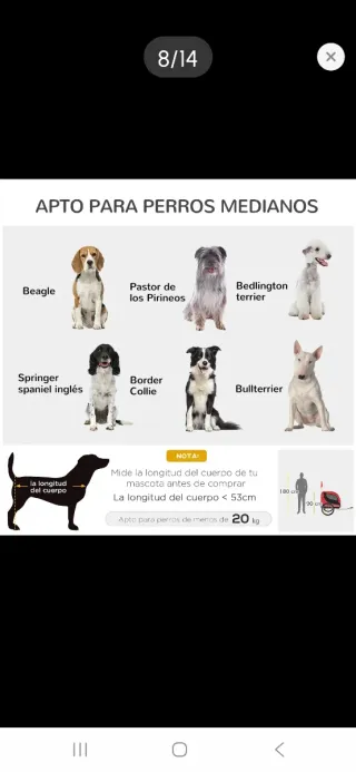 Remolque bicicleta perros rojo