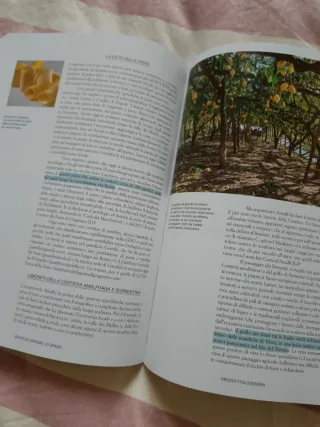 Buonpaese-viaggio nei territori del gusto italiano