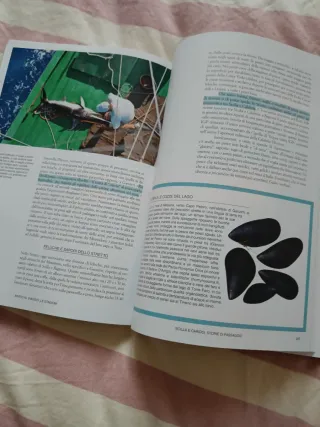 Buonpaese-viaggio nei territori del gusto italiano