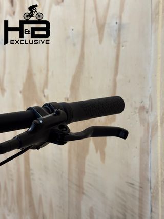 Giant Explore E+3 STA Shimano Alivio 2022