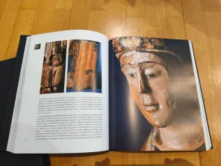 Libro la Virgen en el reino de Aragón