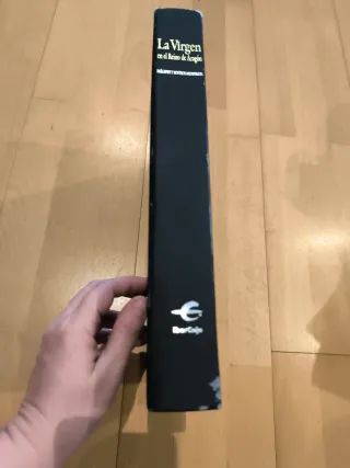 Libro la Virgen en el reino de Aragón