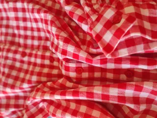 Camisa cuadros vichy roja y blanca Tex