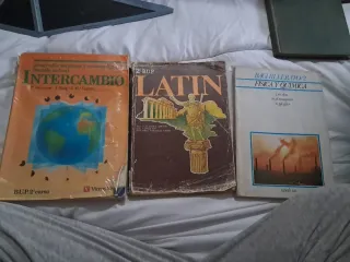 Lote libros escolares antiguos