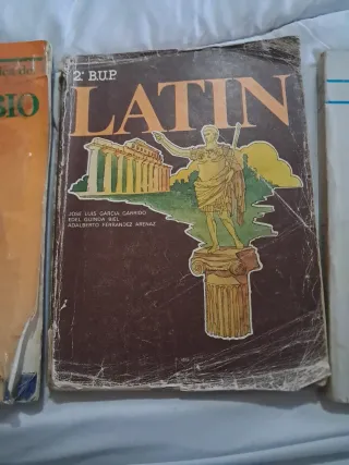 Lote libros escolares antiguos