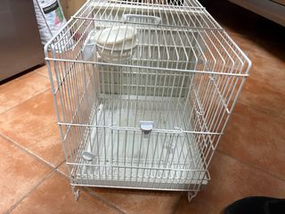 Jaula Canarios Doble con Separador
